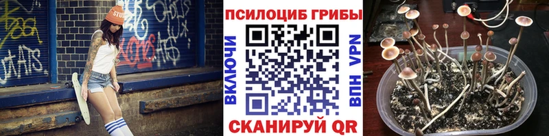 ссылка на мегу сайт  Ужур  Галлюциногенные грибы Psilocybine cubensis  как найти закладки 